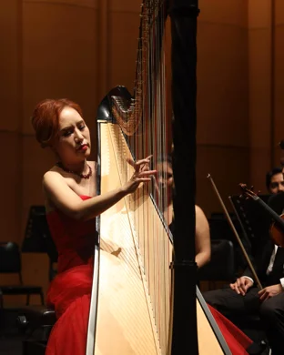 Lysander Piano Trio Mount Gretna