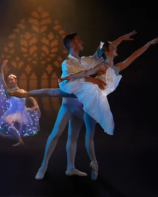 Ballet Of Lights Baltimore