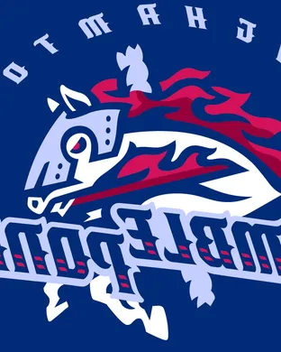 Binghamton Rumble Ponies Reading