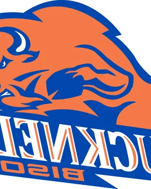 Bucknell Bison Bethlehem