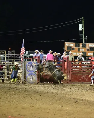 Bullride Mania York