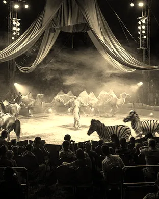 Cirque De Paris Lutherville Timonium