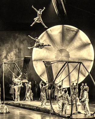 Cirque Du Soleil - Luzia Oaks