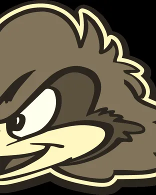Delaware Blue Hens Football Newark