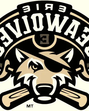 Erie Seawolves Harrisburg