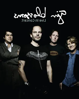 Gin Blossoms Bethlehem