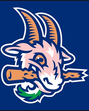 Hartford Yard Goats Reading