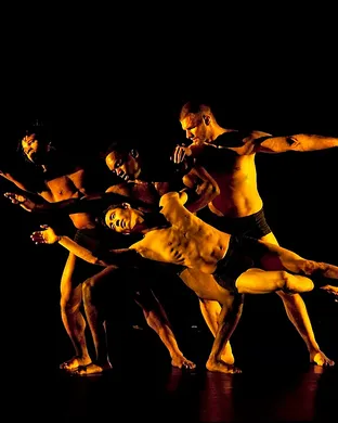 Pilobolus Bethlehem