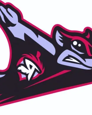 Richmond Flying Squirrels Harrisburg