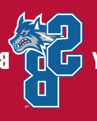 Stony Brook Seawolves Towson
