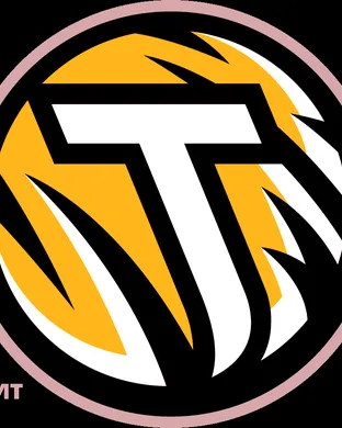 Towson Tigers Football Towson
