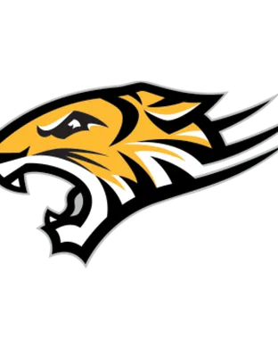 Towson Tigers Towson